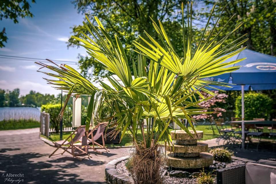 Sopherl Am See - Fruehstueck Auf Der Seeterrasse, Sehr Ruhig Und Wunderschoen Am See, 3 Minuten Nach Oberpfaffenhofen, Viele Radtouren, Restaurants & Cafes In Der Umgebung Weßling 외부 사진